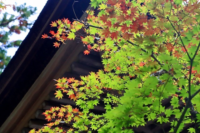 a0242438_20114034.jpg