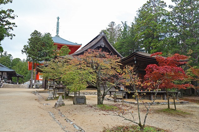 a0242438_20115545.jpg