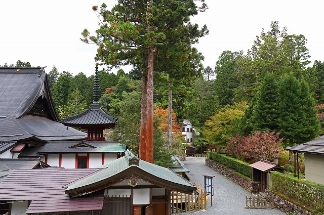 a0242438_20120826.jpg