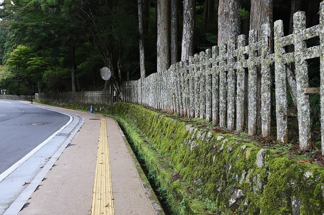 a0242438_20121947.jpg