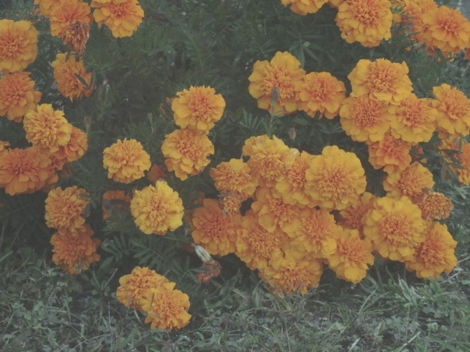 a0054240_21411810.jpg