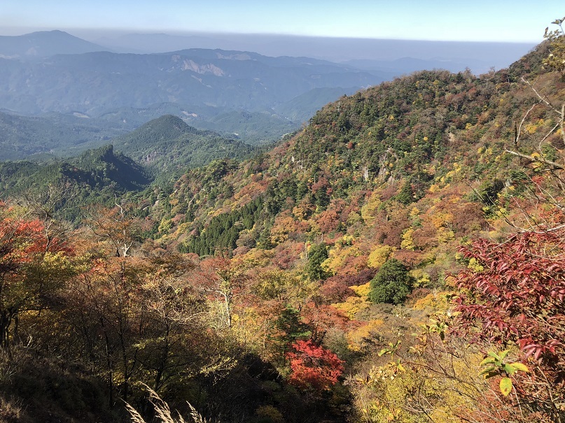 e0164643_15591540.jpg