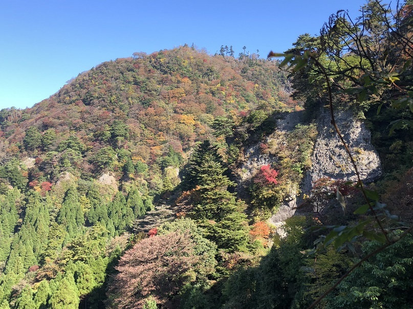 e0164643_16021560.jpg