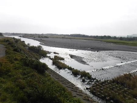 e0172950_2174689.jpg