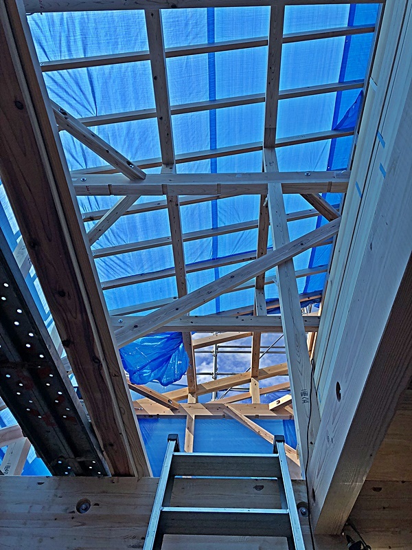 c0019551_18324395.jpg