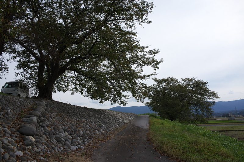 d0342652_1853524.jpg