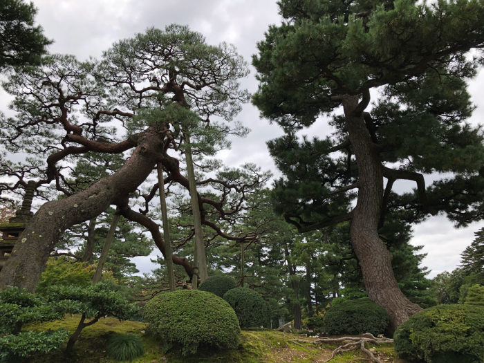 金沢旅日記☆4 兼六園を散策_d0152261_20505583.jpg