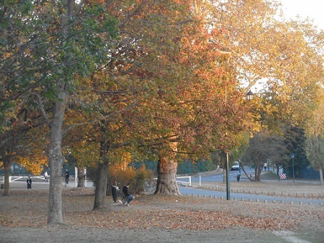 c0221565_14511599.jpg