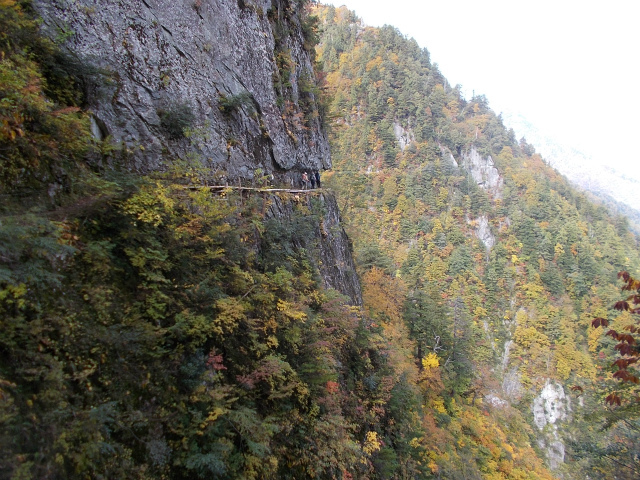 c0219866_07173624.jpg