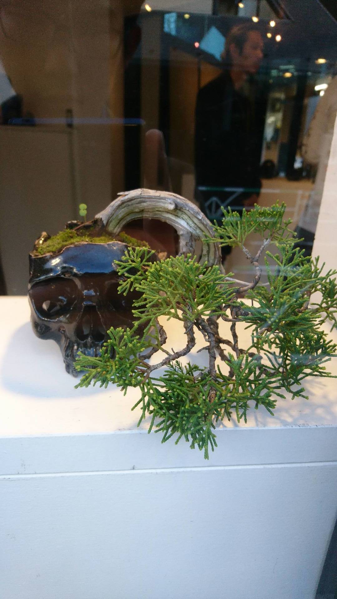 丸岡和吾展『一〇』@HOLE IN THE WALL _c0002171_21431295.jpg