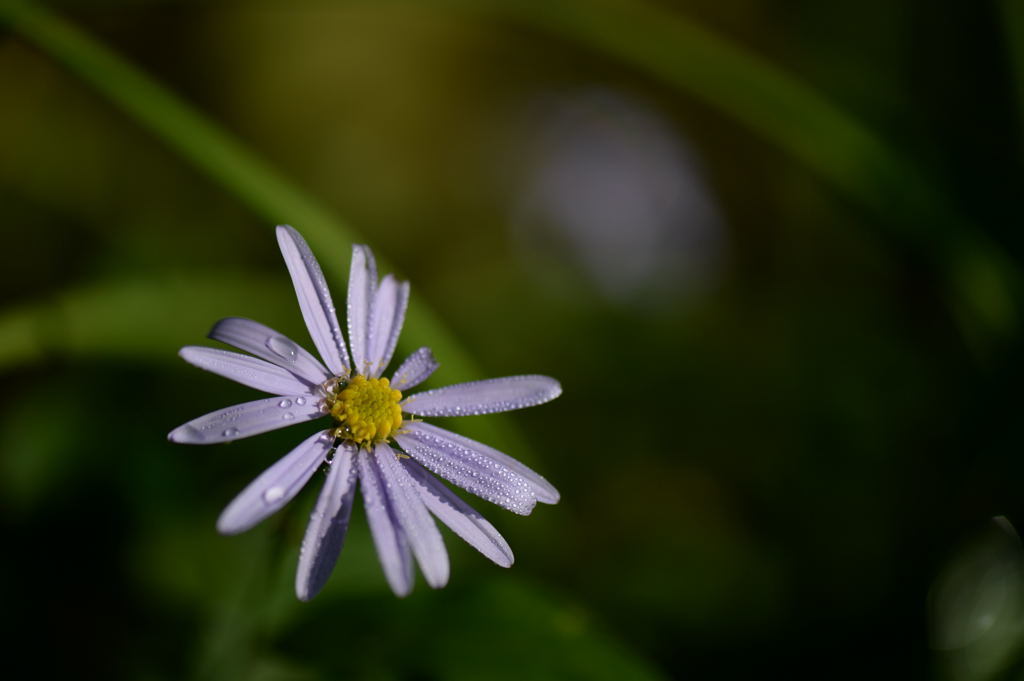 f0323171_17341563.jpg