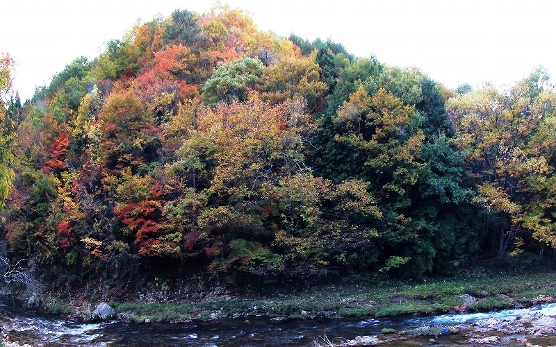 e0091879_00565535.jpg