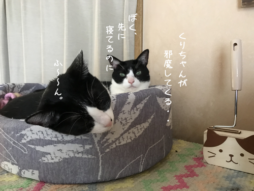 a0216583_19214203.png