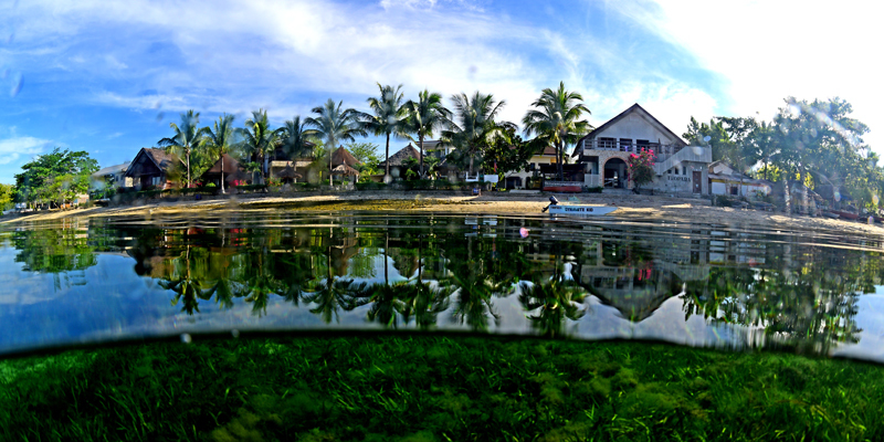 b0137083_21082845.jpg