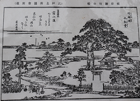 d0183387_20050249.png