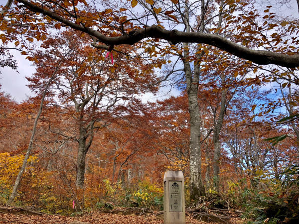 赤兎山登山20181025_d0182188_11072633.jpg