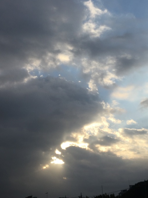 b0042190_23524383.jpeg