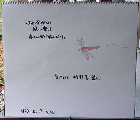 b0364195_11085713.jpg