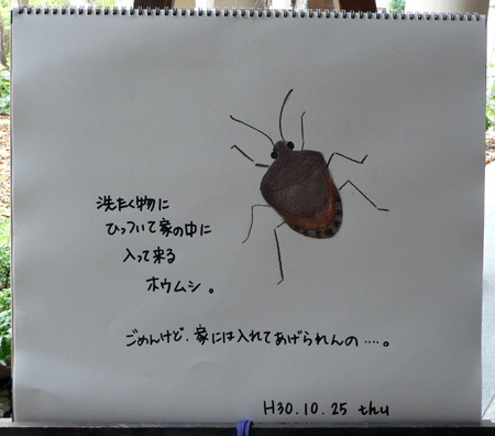 b0364195_11104136.jpg