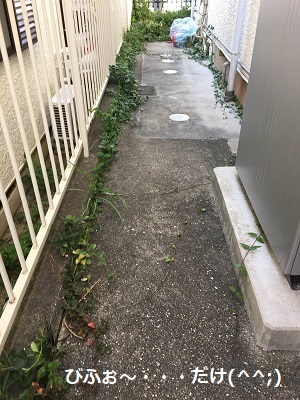 f0372998_14502772.jpg