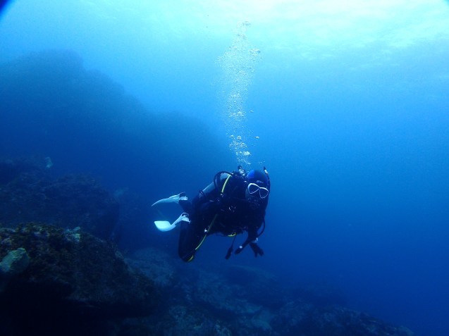 e0115199_12075017.jpg