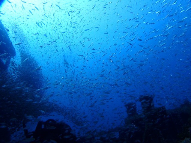 e0115199_12135357.jpg