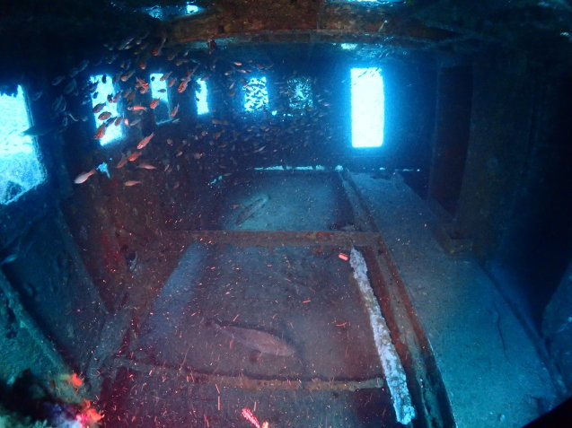 e0115199_12281433.jpg