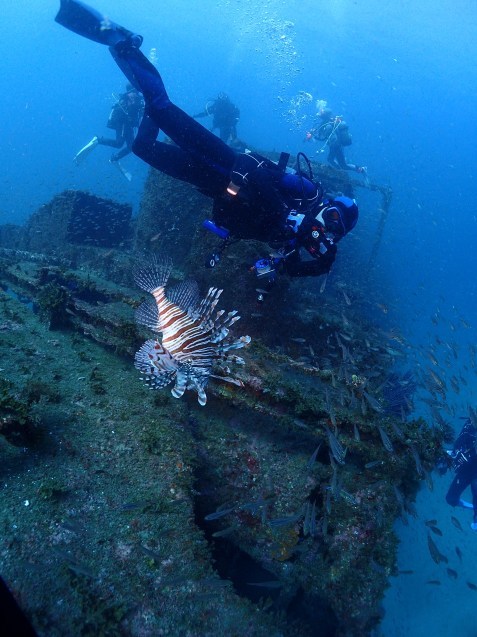 e0115199_12285457.jpg