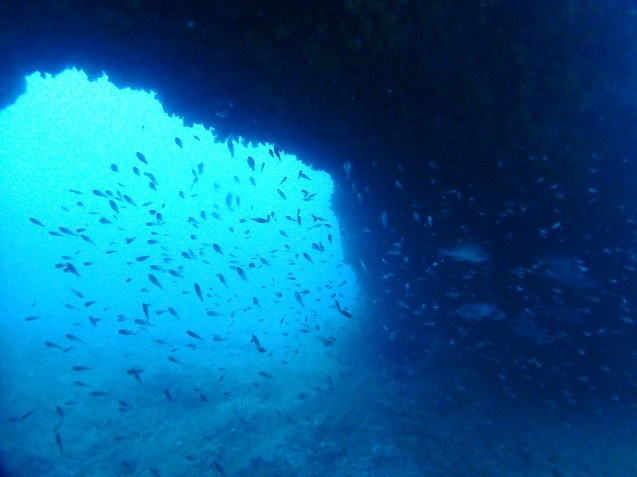 e0115199_16330699.jpg
