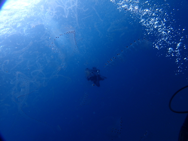 e0115199_18142596.jpg