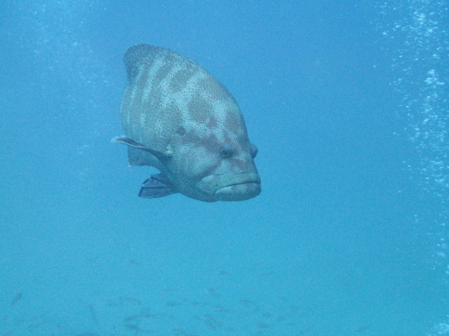 e0115199_18180082.jpg