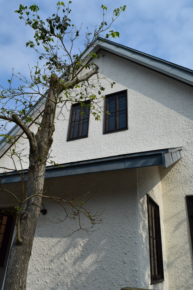 函館元町の函館パターテ、旧岡本栄三郎邸(函館の建築再見)_f0142606_08151919.jpg