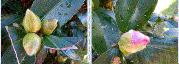 f0231709_11512909.gif