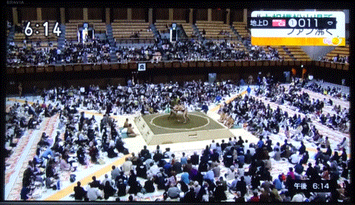 f0231709_13010056.gif