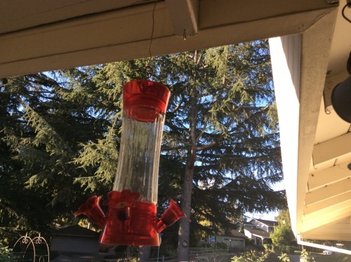 a0331910_14044976.jpeg