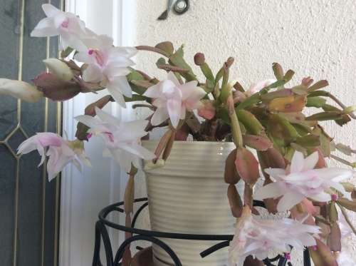 a0331910_14511233.jpeg