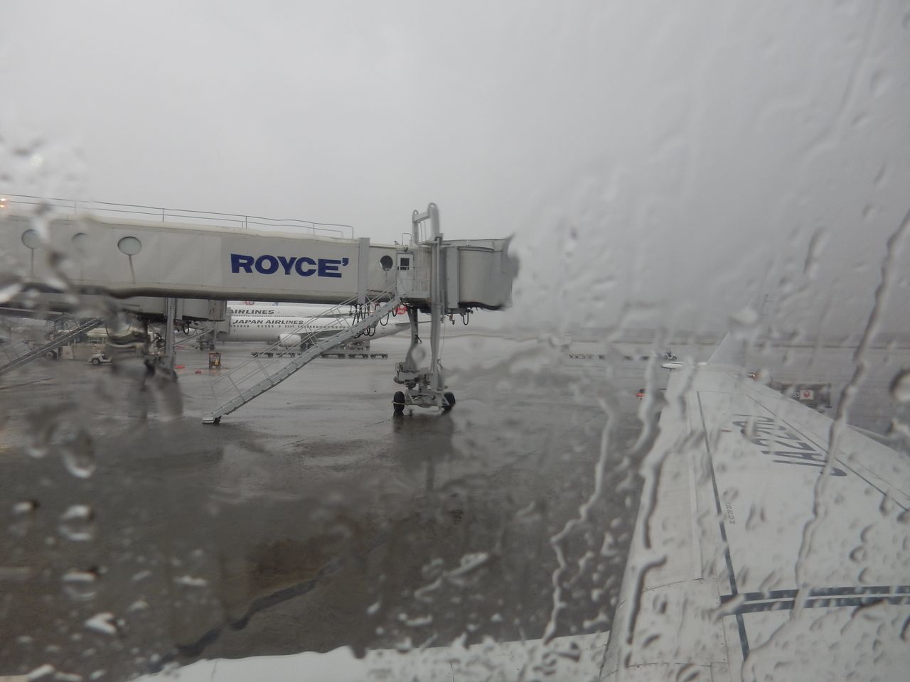 雨の札幌を出て雨の盛岡へ_c0025115_22532615.jpg