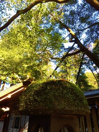 c0204121_08314551.jpg