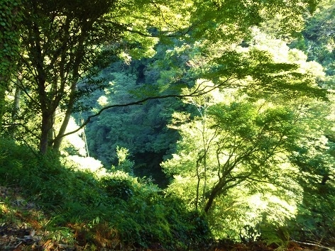 c0204121_08332822.jpg