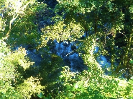 c0204121_08335380.jpg