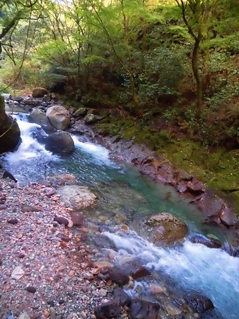 c0204121_08384887.jpg