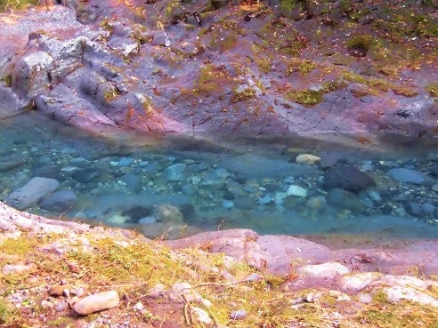 c0204121_08391533.jpg