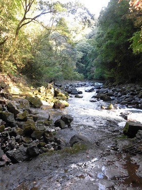 c0204121_08401635.jpg