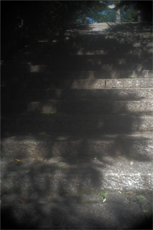 b0226423_20324341.jpg