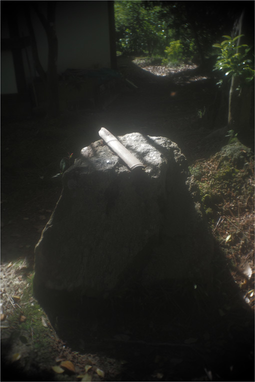 b0226423_20342467.jpg