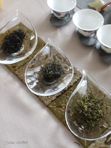 莫干山のお茶を比べる_a0169924_23205905.jpg