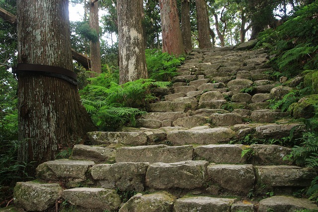 e0321325_15013320.jpg