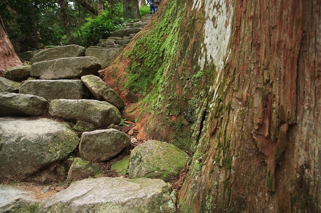 e0321325_15041122.jpg