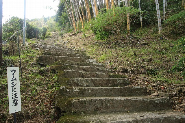 e0321325_15075738.jpg