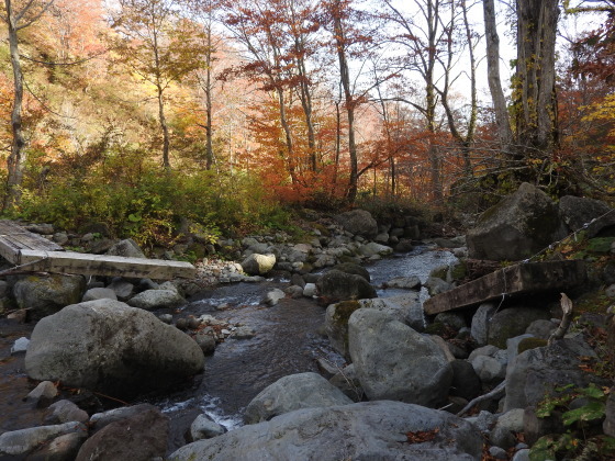 f0118332_01205361.jpg